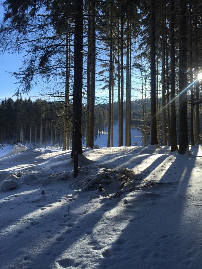 Apartmany Sportrelax Albrechtice v Jizerskych horach Luaran gambar